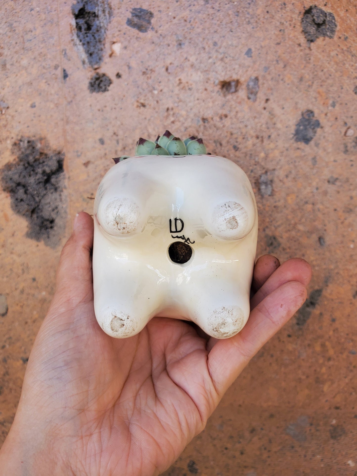 Cute Tooth Ceramic planter