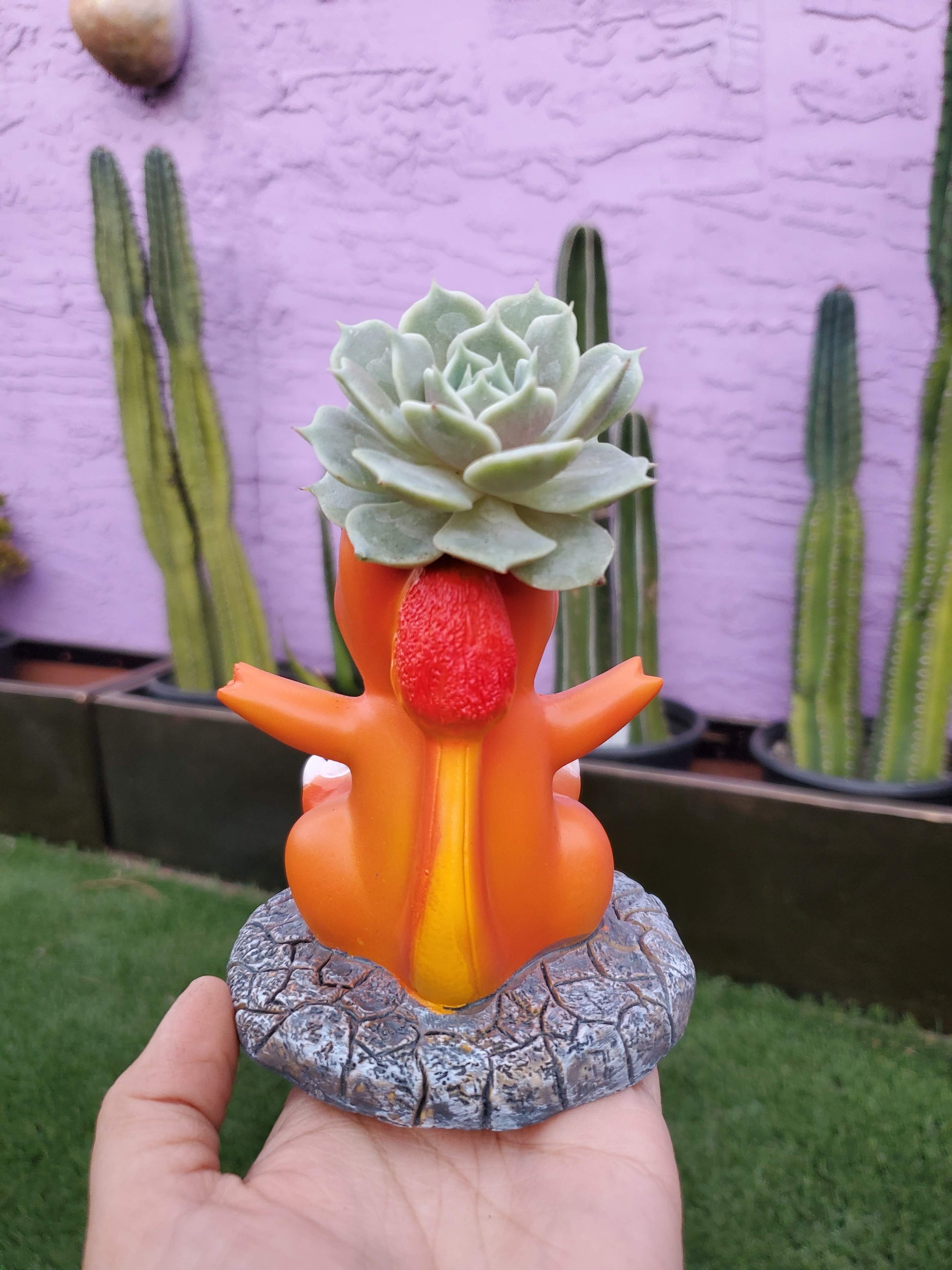 pokemon succulent pots Pokemon Planters! – Seelenelamoon